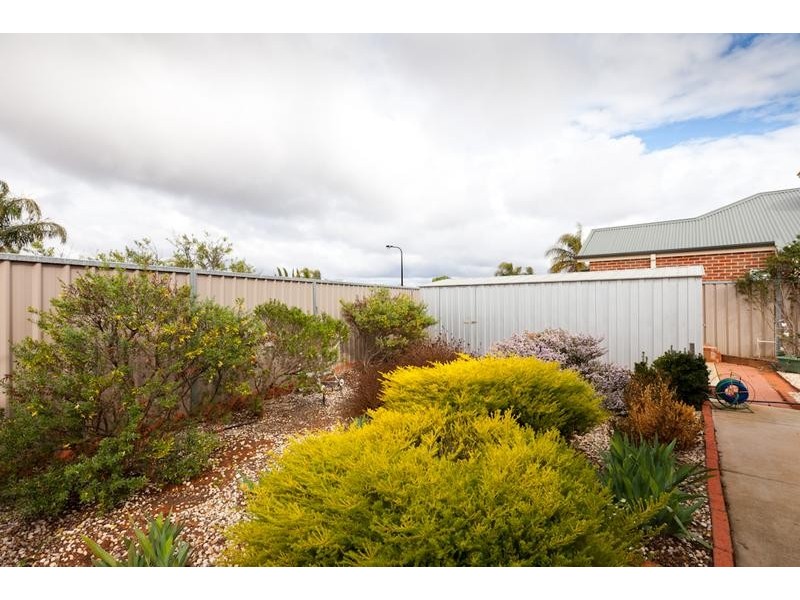 17 Hoyts Drive, Mildura VIC 3500