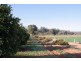 Lot 2, Hewett Road, Colignan VIC 3494