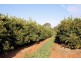 Lot 2, Hewett Road, Colignan VIC 3494