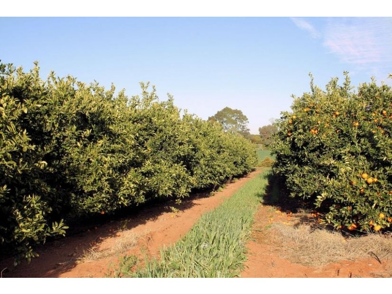Lot 2, Hewett Road, Colignan VIC 3494