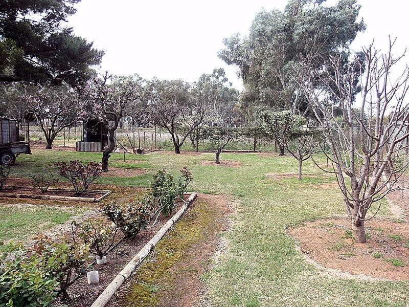 32 Living Drive, Merbein VIC 3505