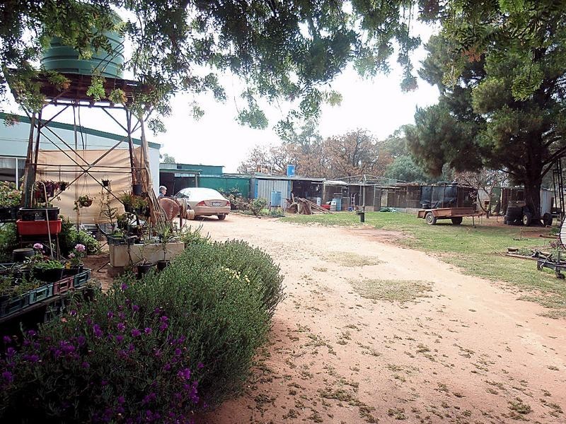 32 Living Drive, Merbein VIC 3505