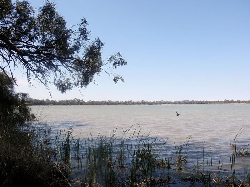 93 Cooke Street, Nichols Point VIC 3501