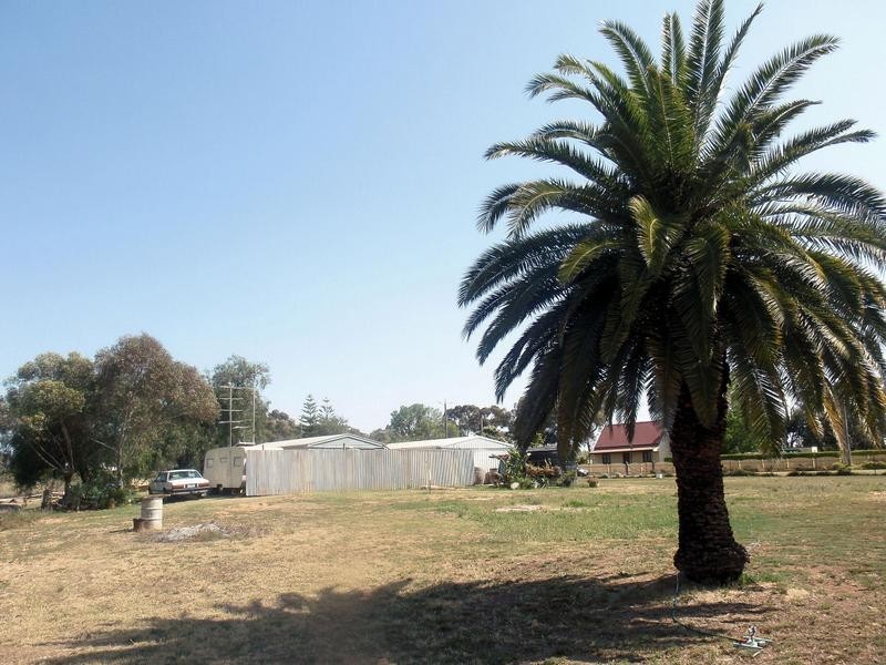 93 Cooke Street, Nichols Point VIC 3501