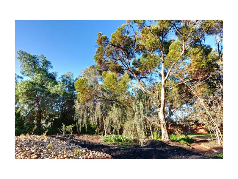 21 Cooke Street, Nichols Point VIC 3501