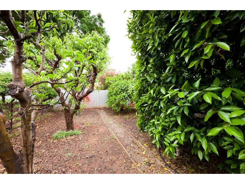 7 Mitchell Street, Dareton NSW 2717