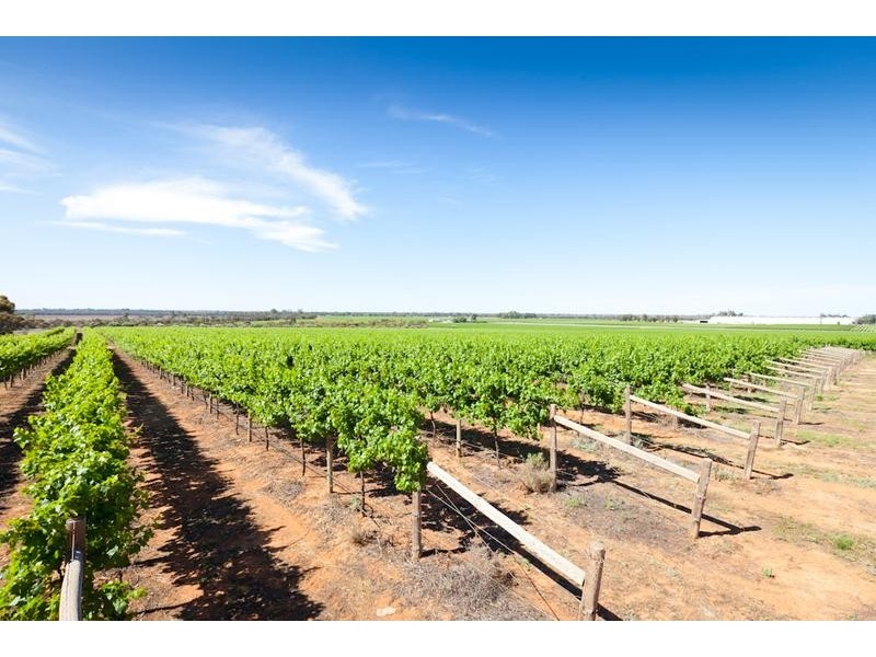 Edey Road, Nangiloc VIC 3494