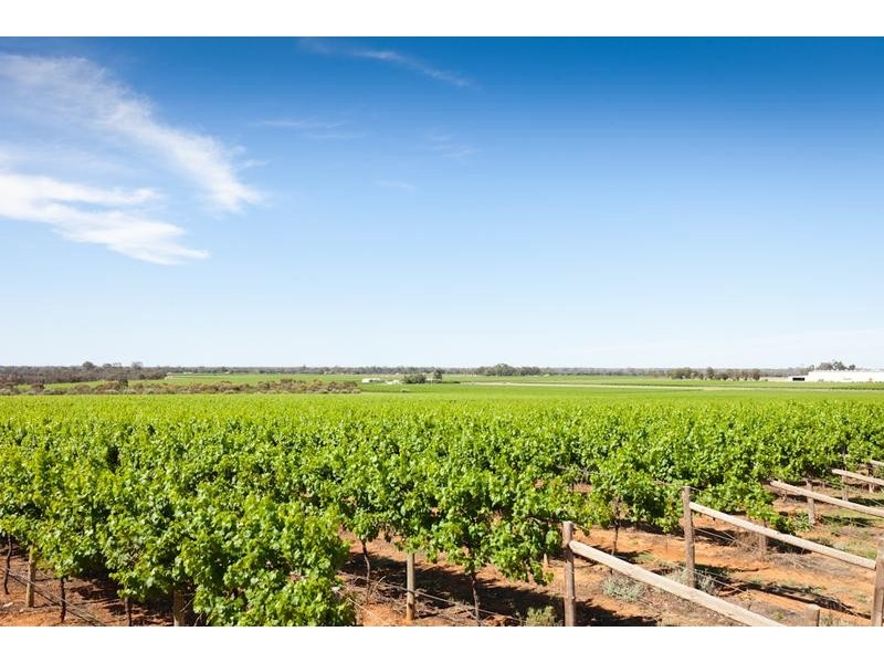 Edey Road, Nangiloc VIC 3494