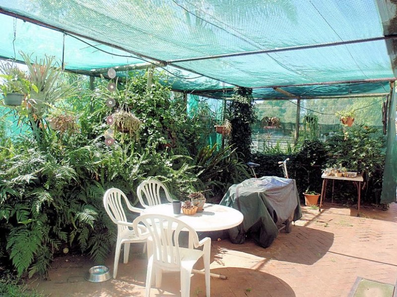 21 Tiltao Street, Dareton NSW 2717