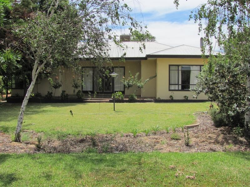 256 Morpung Avenue, Irymple VIC 3498
