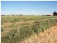 Lot 2/ Ash Avenue, Merbein South VIC 3505