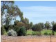 47 Fitzroy Avenue, Red Cliffs VIC 3496