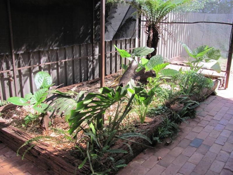 56 Teal Drive, Mildura VIC 3500