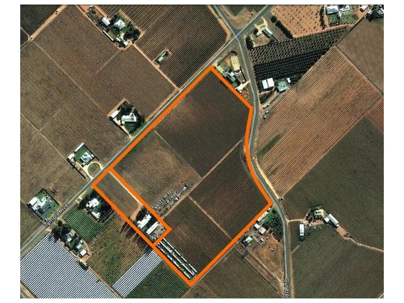 Lot 2 & 3,  Irymple Avenue, Nichols Point VIC 3501