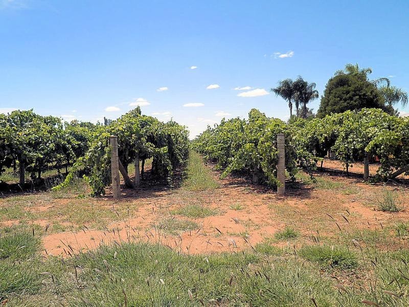 302 Irymple Avenue, Nichols Point VIC 3501