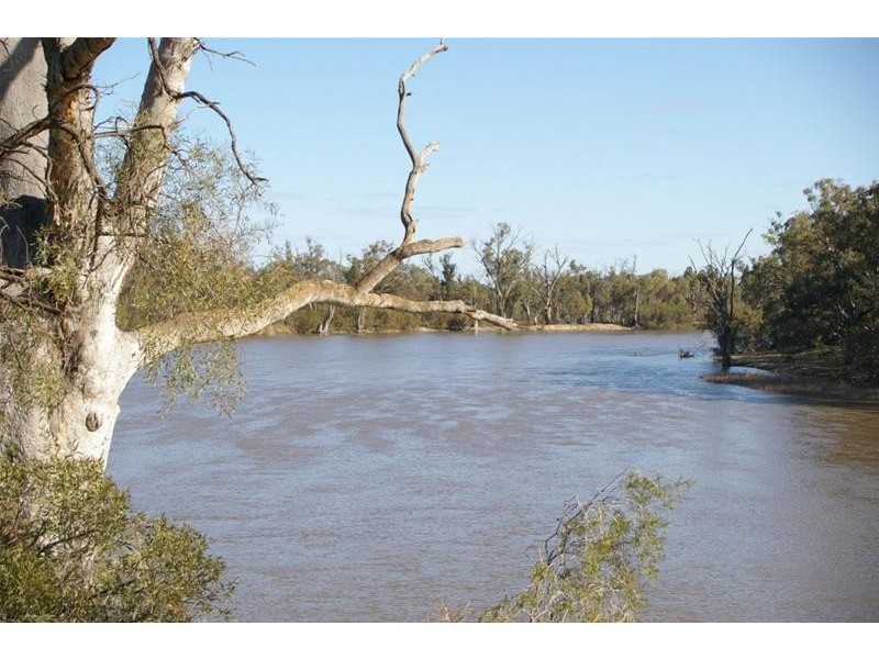 952b Kookaburra Drive, Dareton NSW 2717