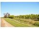 952b Kookaburra Drive, Dareton NSW 2717