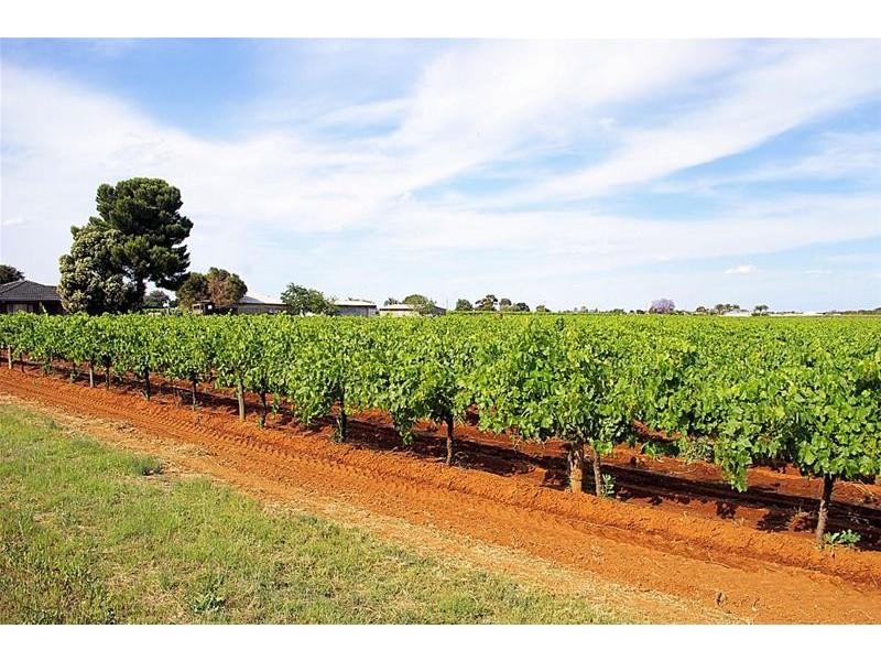 Blk 98 Oak Avenue, Birdwoodton VIC 3505