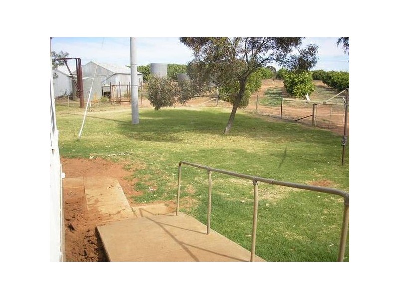 Blk 368 Citrus Road, Dareton NSW 2717