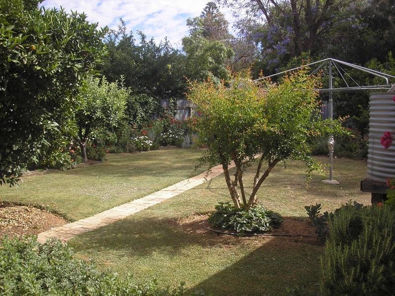 20 Argyle Street, Mildura VIC 3500