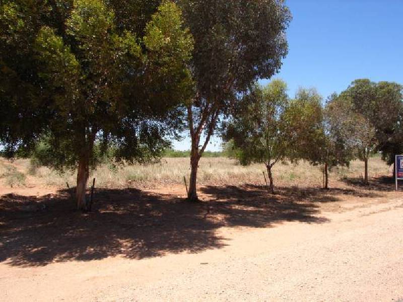 9-11 Tarcoola Street, Pooncarie NSW 2648