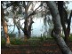Lot 2, . Riverbend Estate, Gol Gol NSW 2738