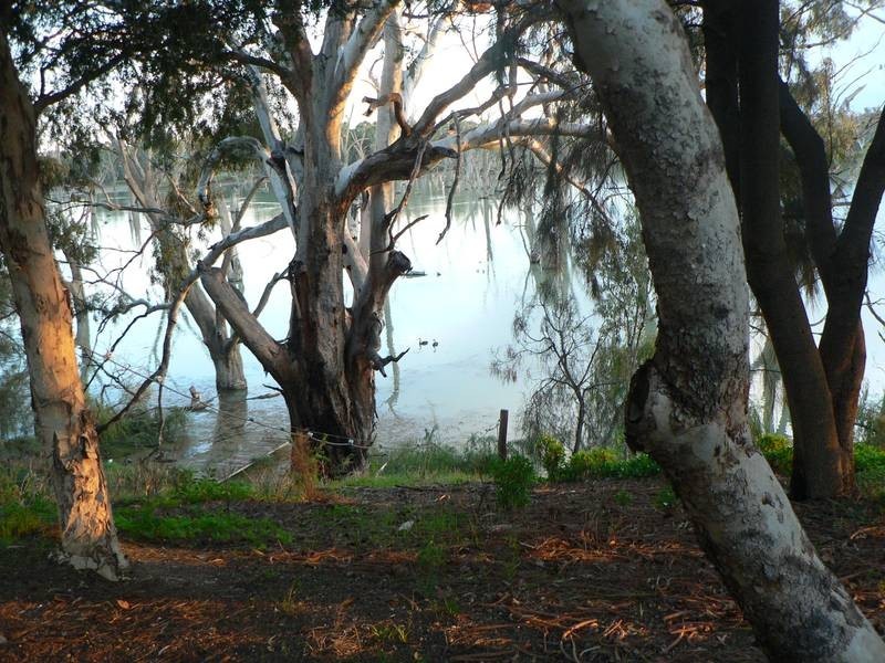 Lot 2, . Riverbend Estate, Gol Gol NSW 2738