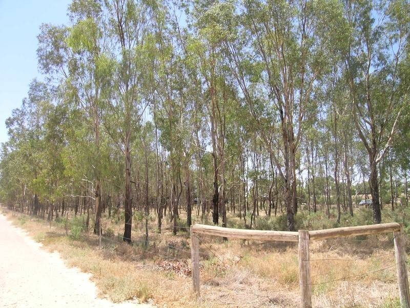 140a Sturt Highway, Buronga NSW 2739