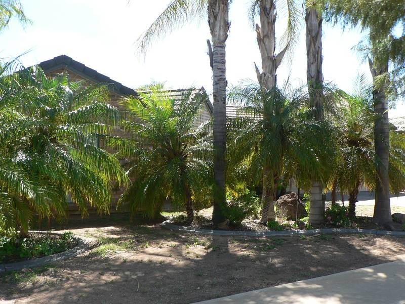 14 Anthony Street, Mildura VIC 3500