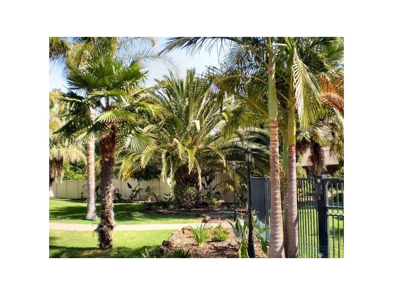 2 Leng Close, Nichols Point VIC 3501