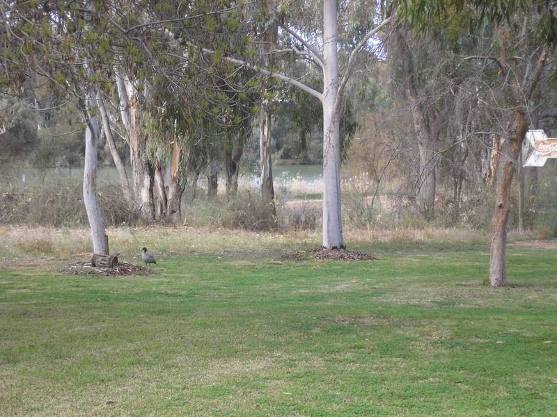 2 Riverlaze, Nichols Point VIC 3501