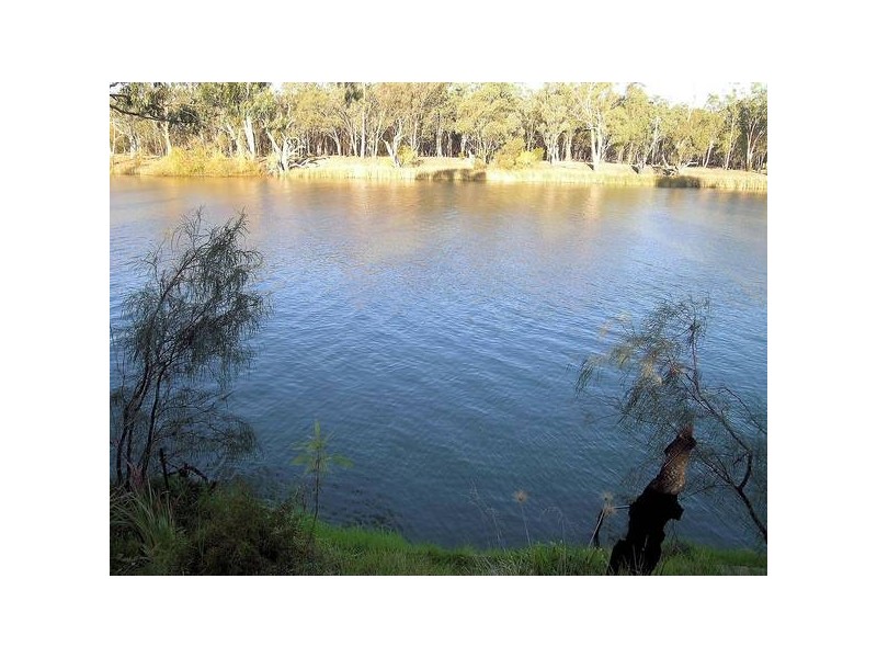 39 Cole Street, Euston NSW 2737