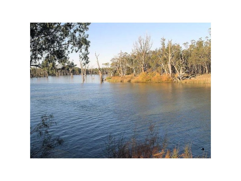 39 Cole Street, Euston NSW 2737