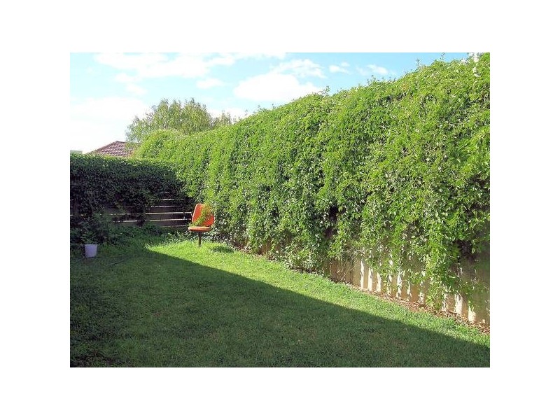 2/875 Fifteenth Street, Mildura VIC 3500