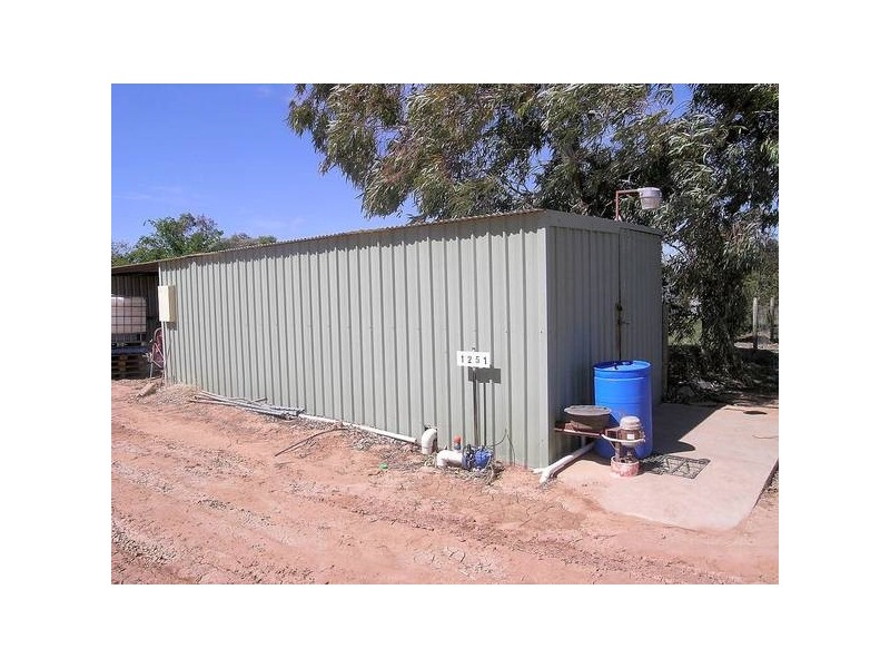 2 Euston Avenue, Irymple VIC 3498