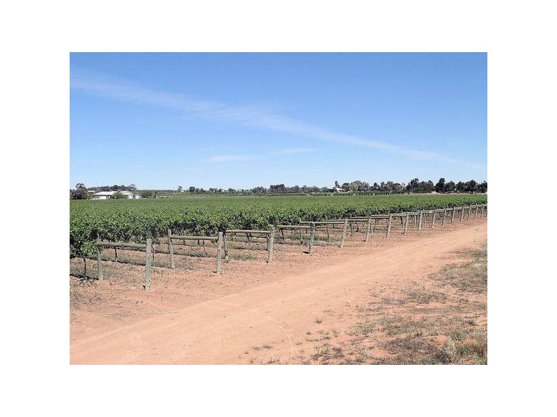 2 Euston Avenue, Irymple VIC 3498