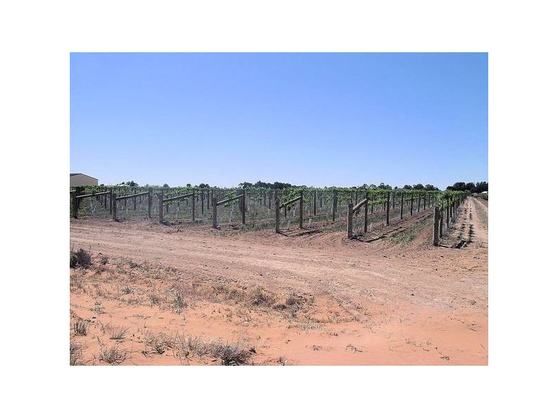 2 Euston Avenue, Irymple VIC 3498