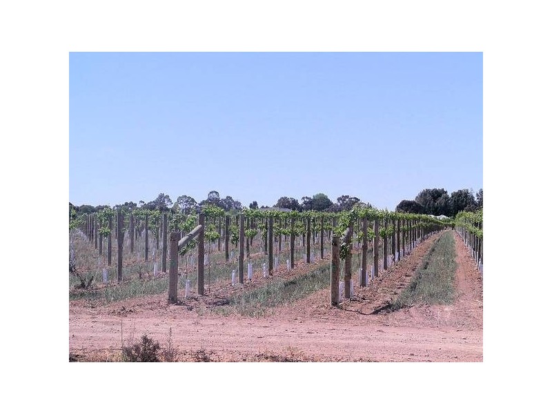 2 Euston Avenue, Irymple VIC 3498