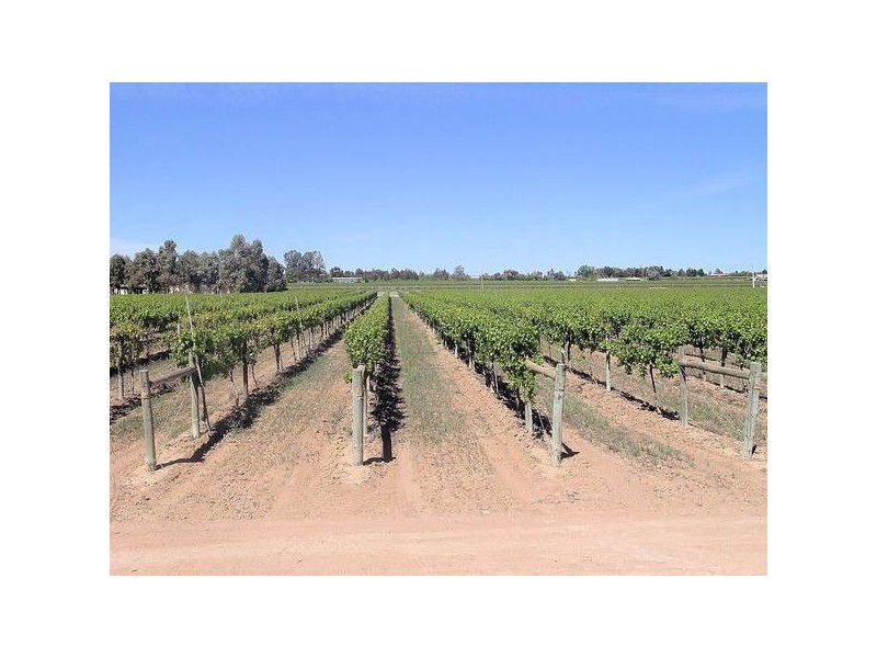 2 Euston Avenue, Irymple VIC 3498