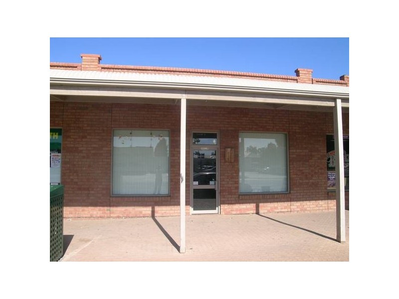 64 Adams Street, Wentworth NSW 2648