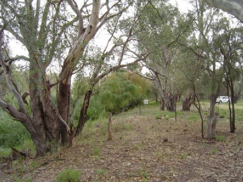 4 Murray Road, Wentworth NSW 2648