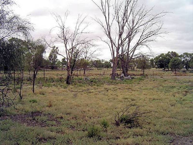 4 Murray Road, Wentworth NSW 2648