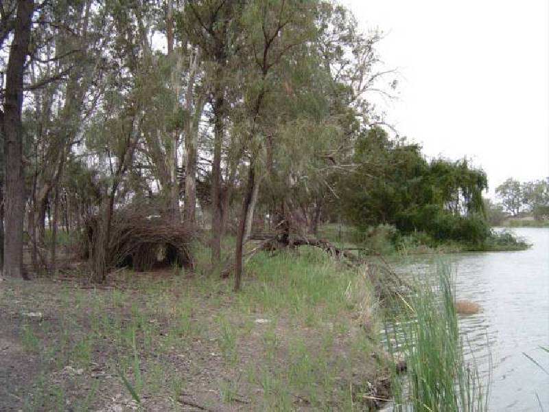 4 Murray Road, Wentworth NSW 2648