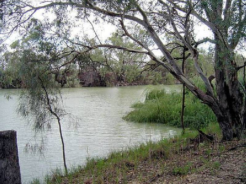 4 Murray Road, Wentworth NSW 2648