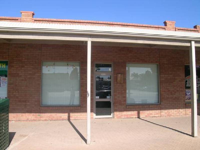 64 Adams Street, Wentworth NSW 2648