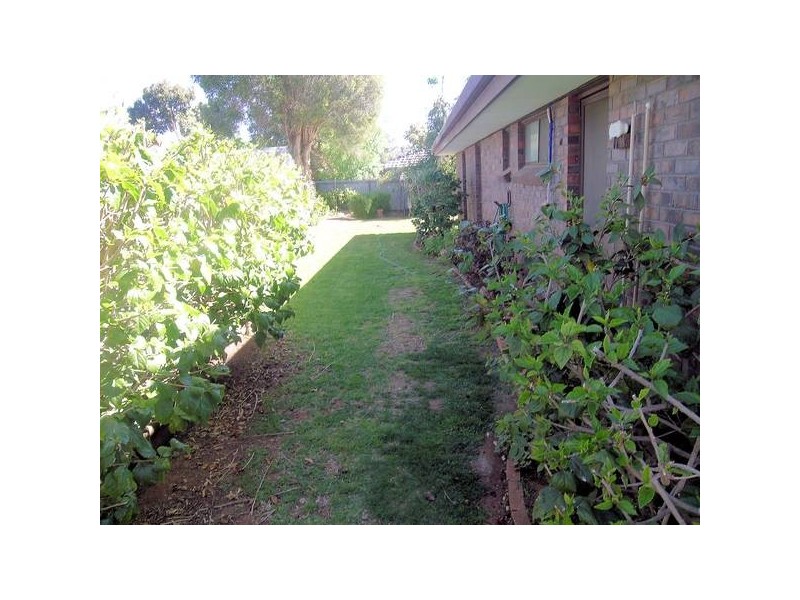 2 Currawong Court, Mildura VIC 3500