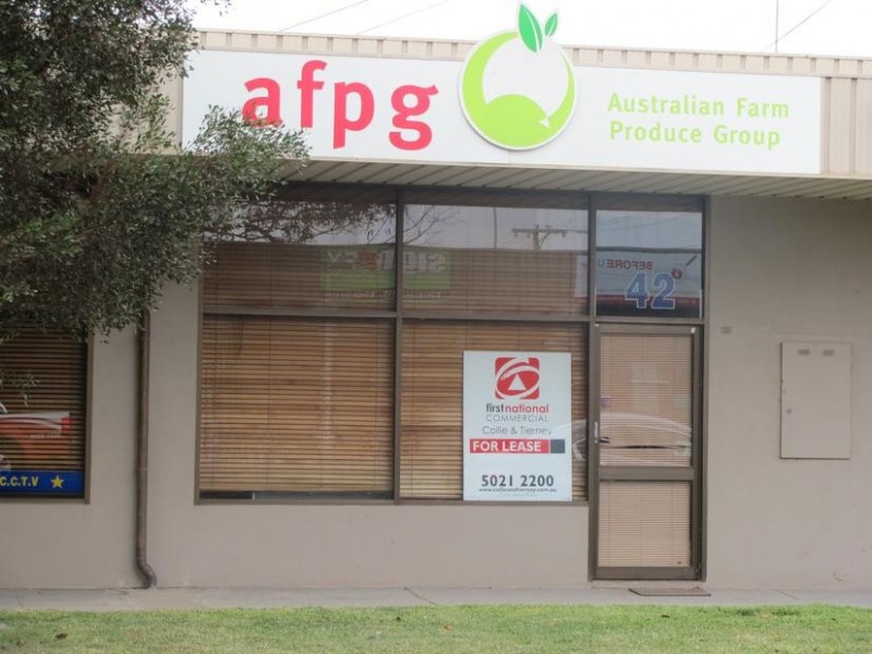 42 Lemon Avenue, Mildura VIC 3500