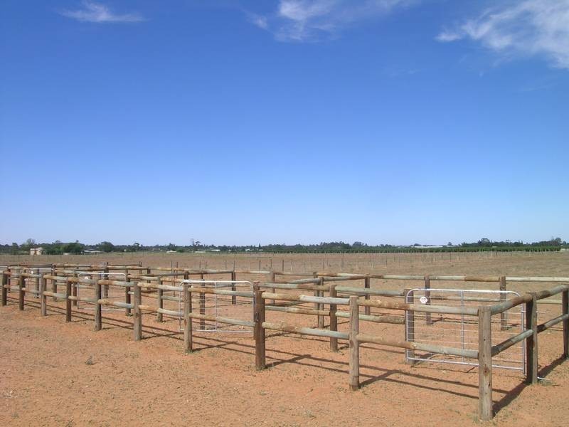 358 Twentieth Street, Cardross VIC 3496