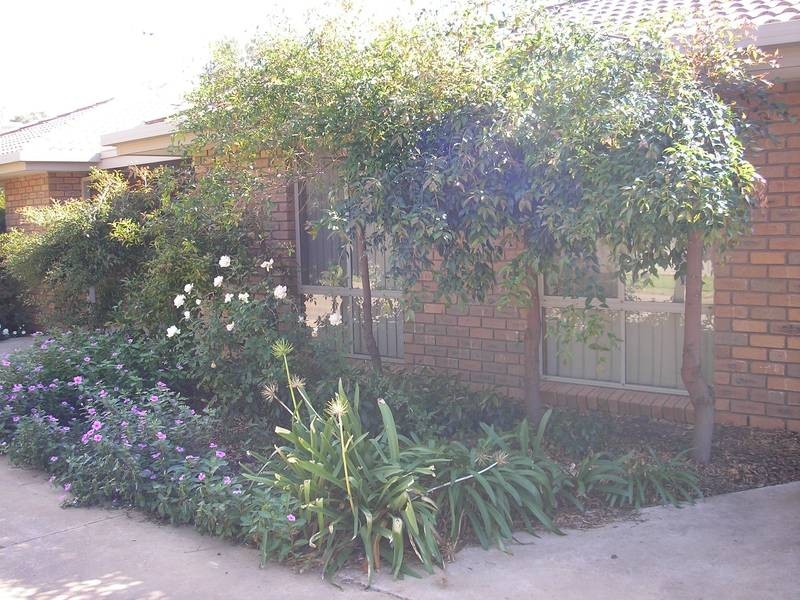 7 Leonda Village, Buronga NSW 2739