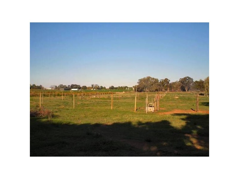 Karadoc Avenue, Irymple VIC 3498